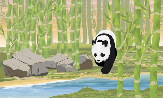 A large panda goes to the water through a bamboo grove Asian animals China Realistic vector