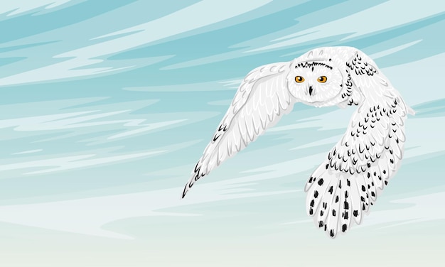 Vector a large polar owl flies in the blue winter sky wild birds of the arctic realistic vector landscape