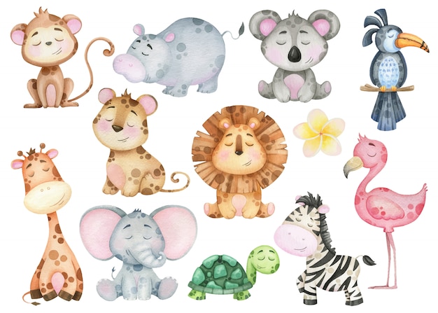 A large set of cartoon tropical exotic animal babies. Zebra, lion, monkey, flamingo. Watercolor elements for design