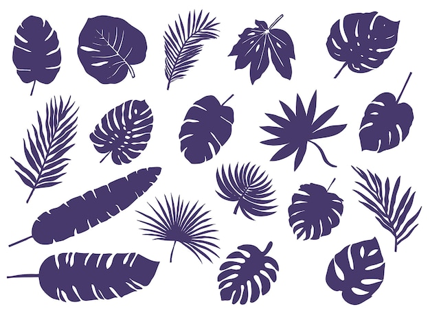 Large set of silhouettes of tropical leaves and palm branches