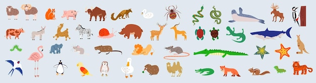 A large set of wild jungle savanna and forest animals birds marine mammals fish and insects