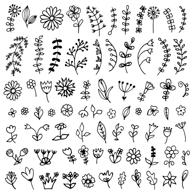 Vector large vector collection of doodle flowers and leaves. to create digital paper, stickers, colorings. for design of surfaces, textiles, packaging, backgrounds. subject nature