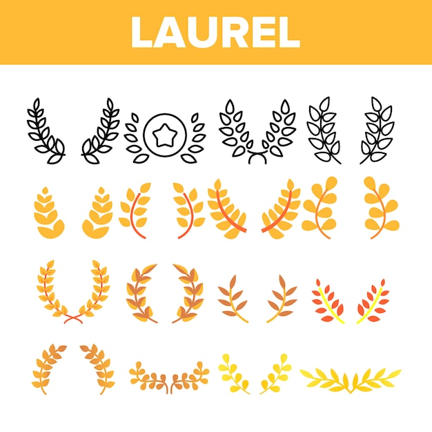 Laurel Branches