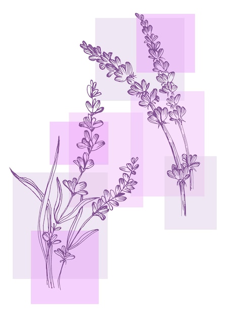 Lavender Abstract Hand Painted Illustrations for Wall Decoration Postcard Social Media Banner