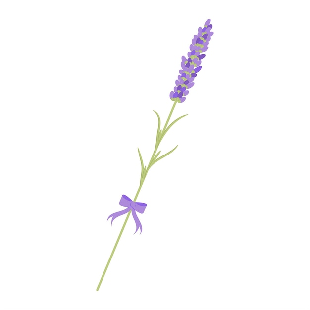 Lavender Branch for decoration