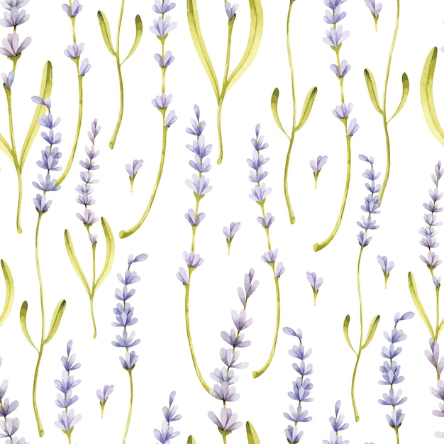 Lavender branches with leaves watercolor seamless pattern