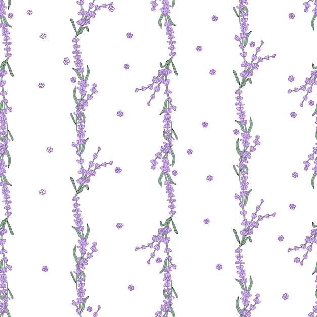 Vector lavender colorful flower seamless pattern for textile