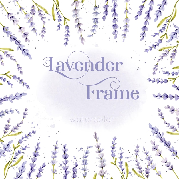 Vector lavender floral watercolor frame