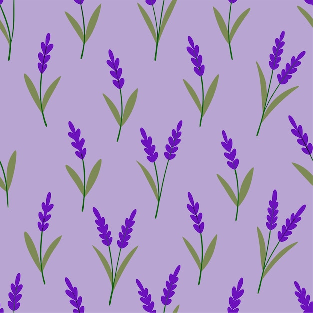 Vector lavender flower seamless pattern vector art and illustration