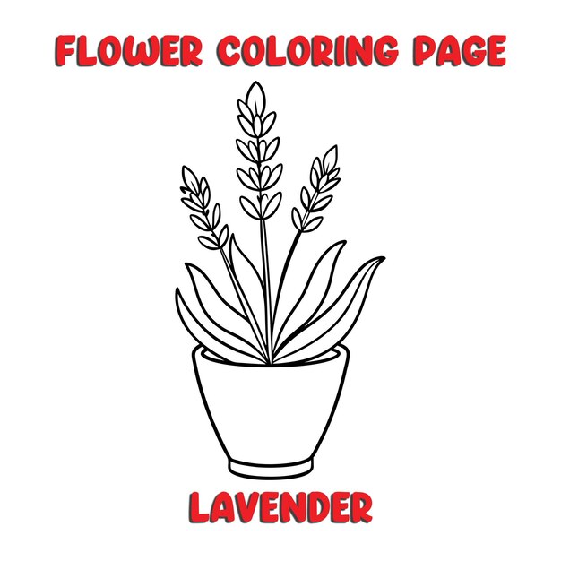 Vector lavender flowers coloring book for kids