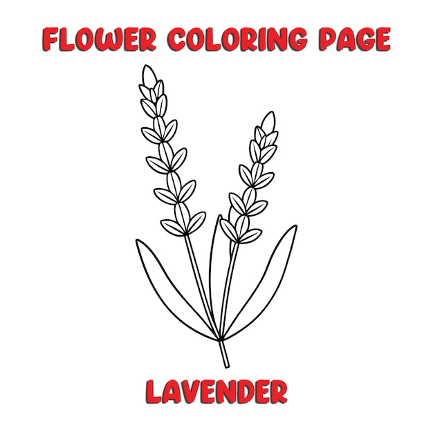 Vector lavender flowers coloring book for kids