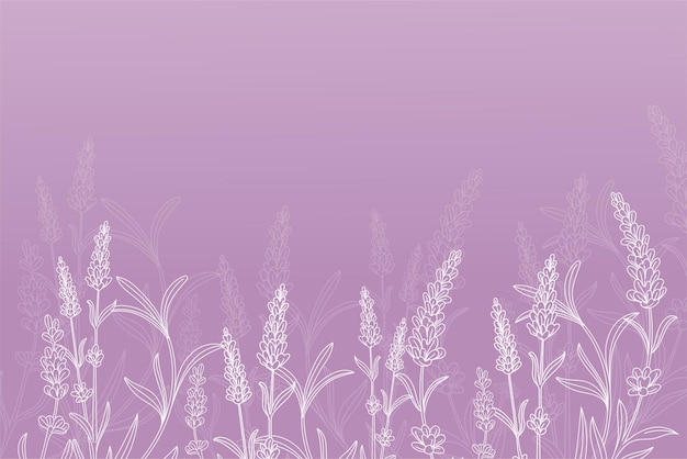 Lavender flowers Floral background vector