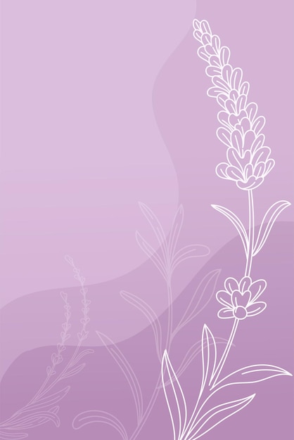 Lavender flowers Floral background vector