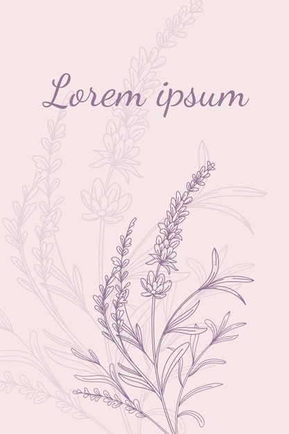 Lavender flowers Floral background vector