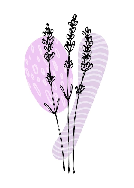 Lavender Hand Painted Illustrations for Wall Decoration minimalist flower in sketch style