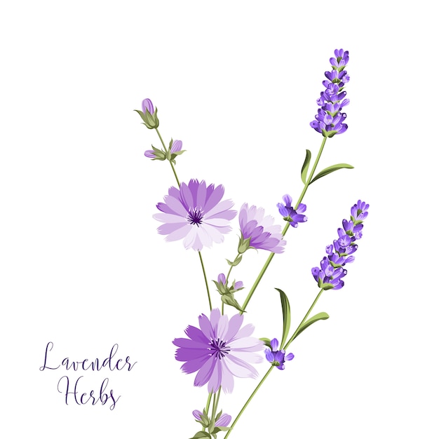 lavender herbs bouquet