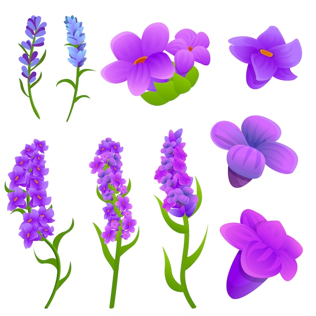 Lavender icons set, cartoon style