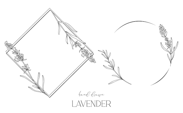 Lavender Line Drawing Black and white Floral Frames Floral Line Art Fine Line Lavender