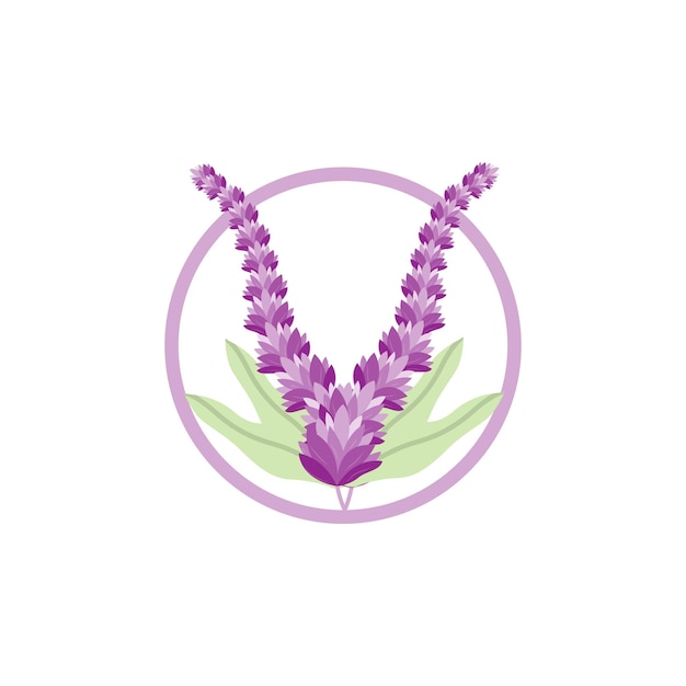 Lavender Logo Purple Plant Vector Garden Design Illustration Symbol Template