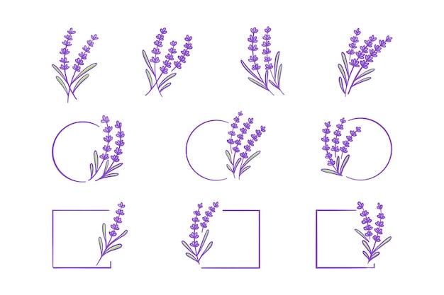 Lavender plant hand drawn illustration set