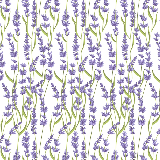 Lavender seamless pattern