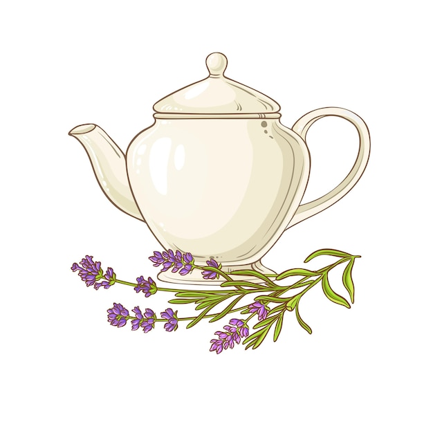 lavender tea illustration