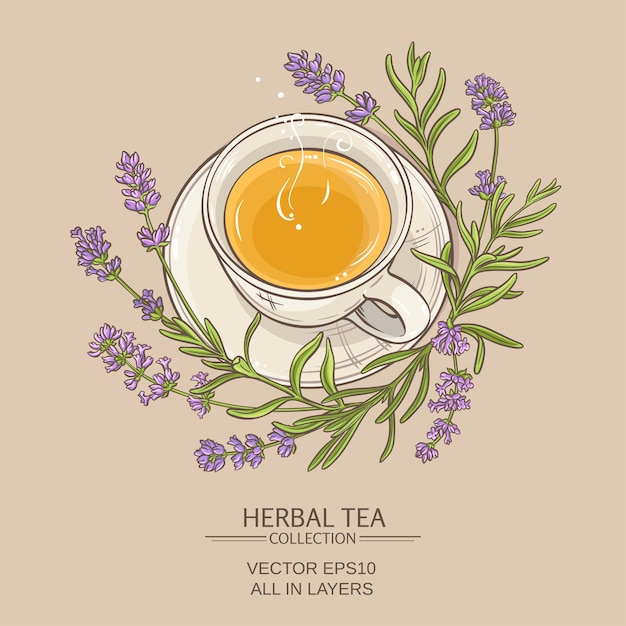 Lavender tea illustration