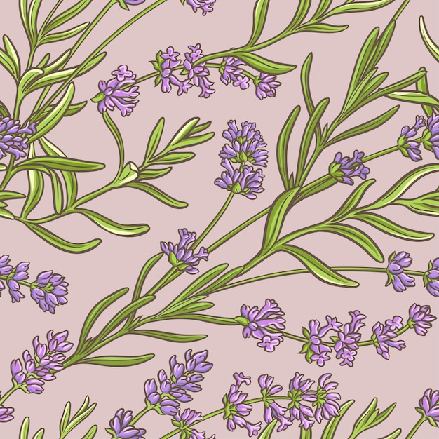 Lavender vector pattern