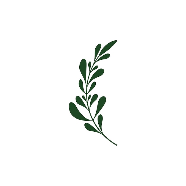 Leaf branch graphic design template vector