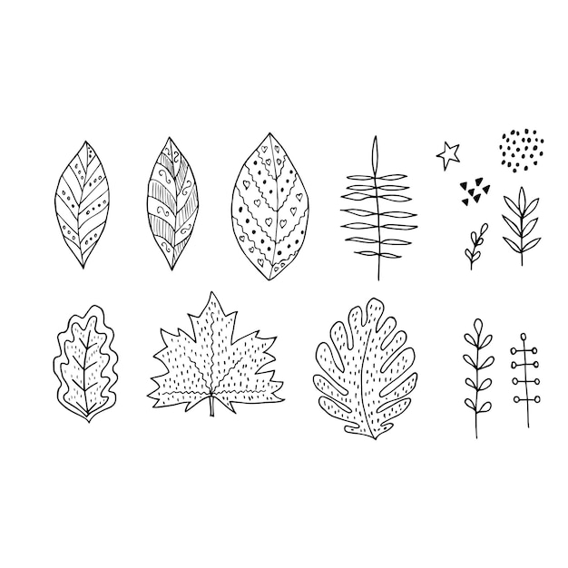 Leaf branch set scandinavian doodle