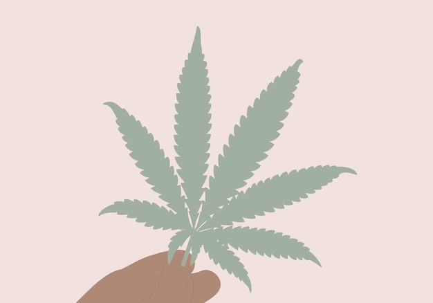 Vector leaf of cannabis in human hand