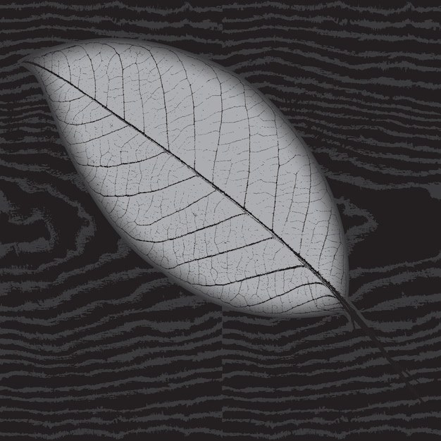 Vector leaf design black pattern