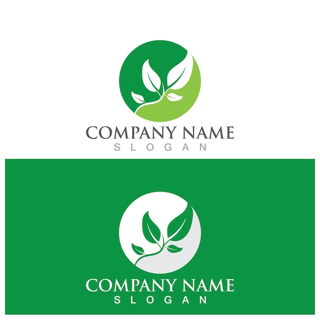 Leaf ecology logo and vector template