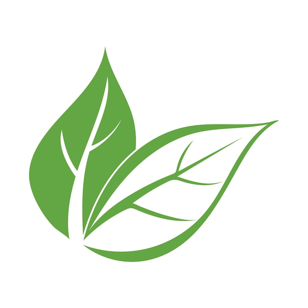 Leaf ecology logo and vector template