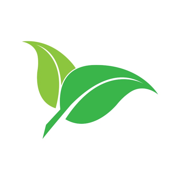 Leaf ecology logo and vector template