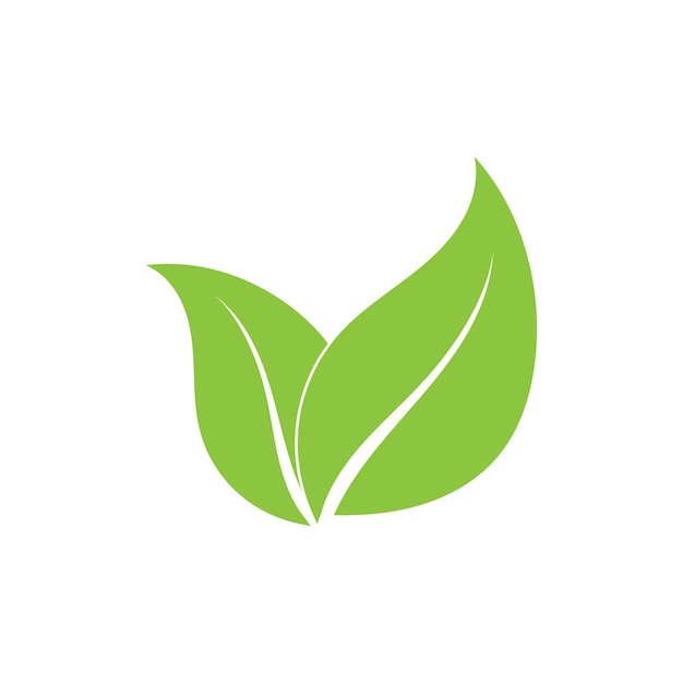 Leaf ecology logo and vector template