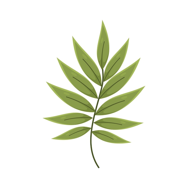 Leaf Element Ornament Design