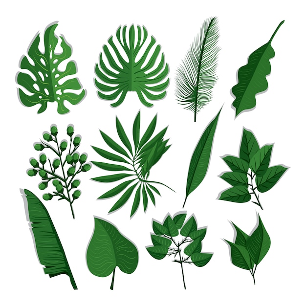 leaf element set