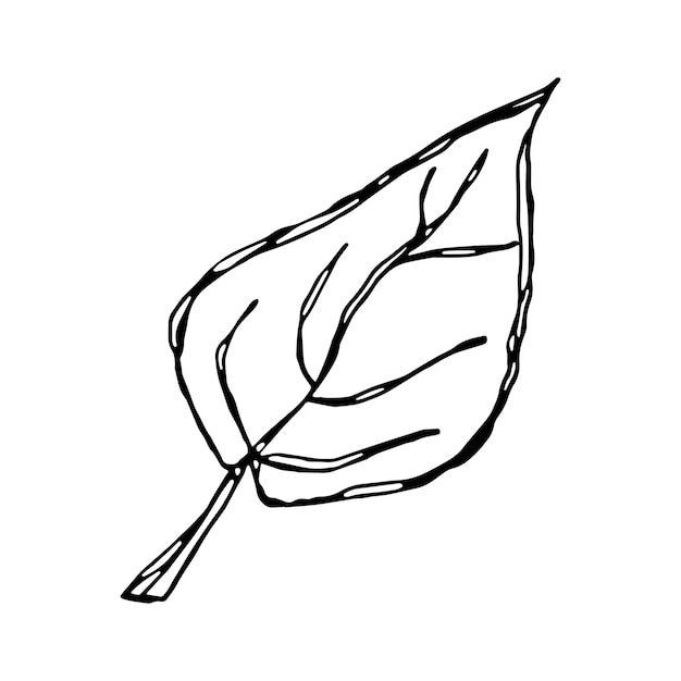 Leaf fallen plant nature organic nature doodle linear cartoon