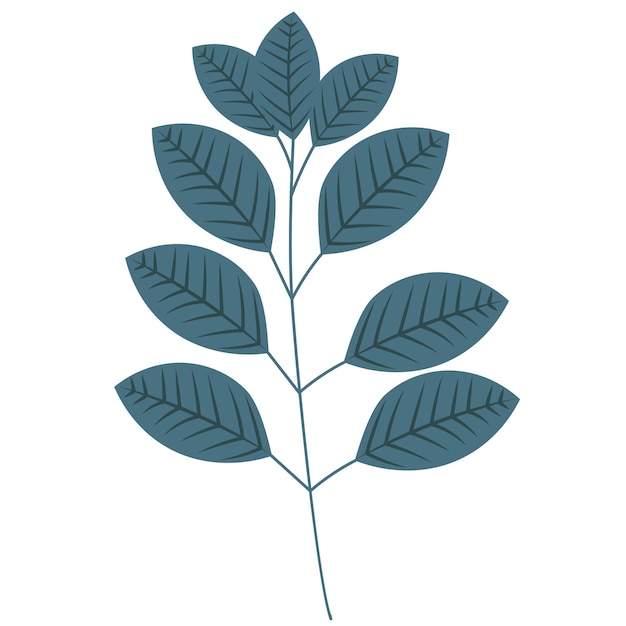 Leaf flat design isolated vector