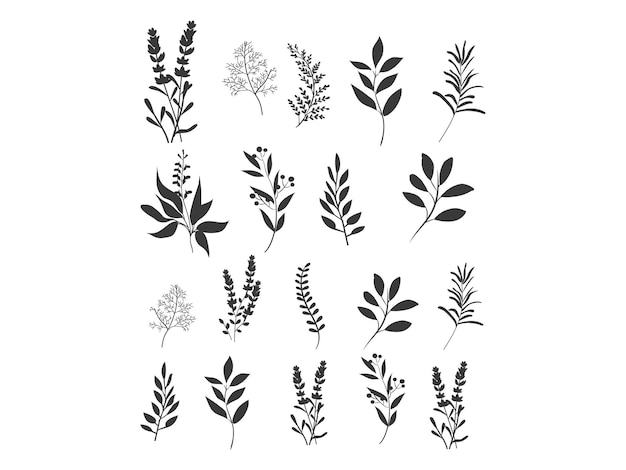 leaf flower set vector black and white