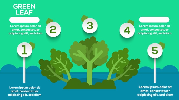 Vector leaf green infographic with steps, options, stats