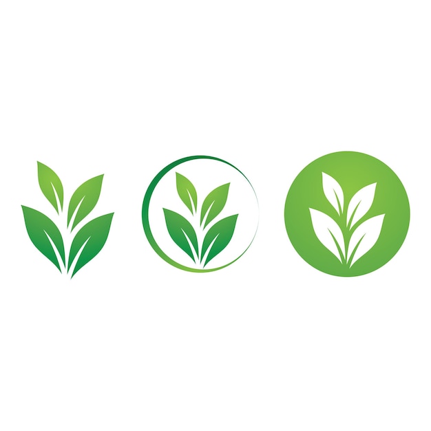 Leaf green logo ecology nature element vector