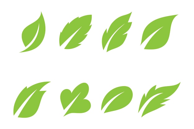 Leaf green logo and symbol vector template