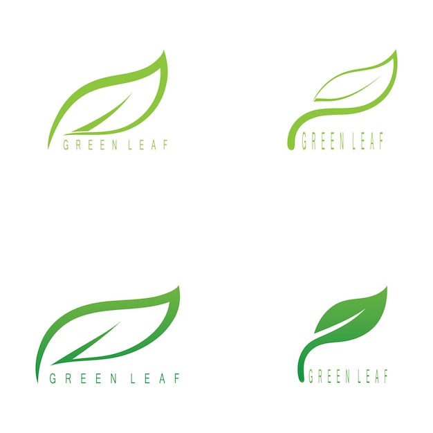 Leaf green logo and symbol vector