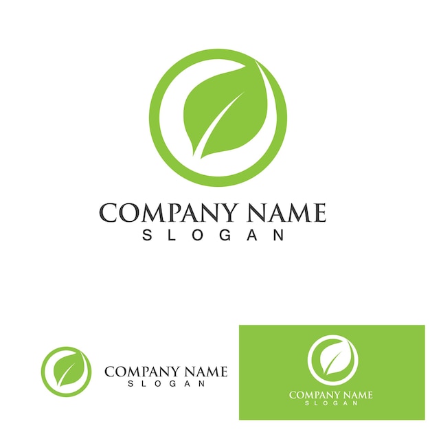 Leaf green logo and symbol vector