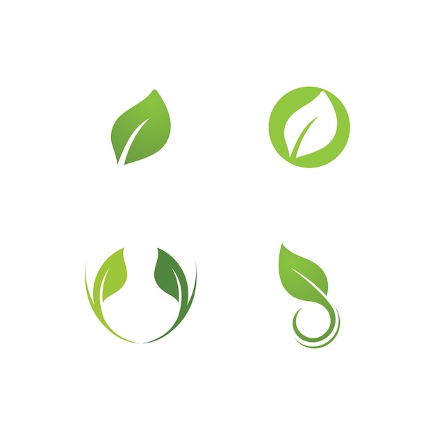 Leaf green plant logo fresh vector template