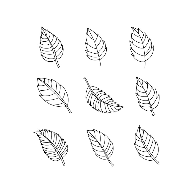 leaf handrawn doodle illustrations vector set