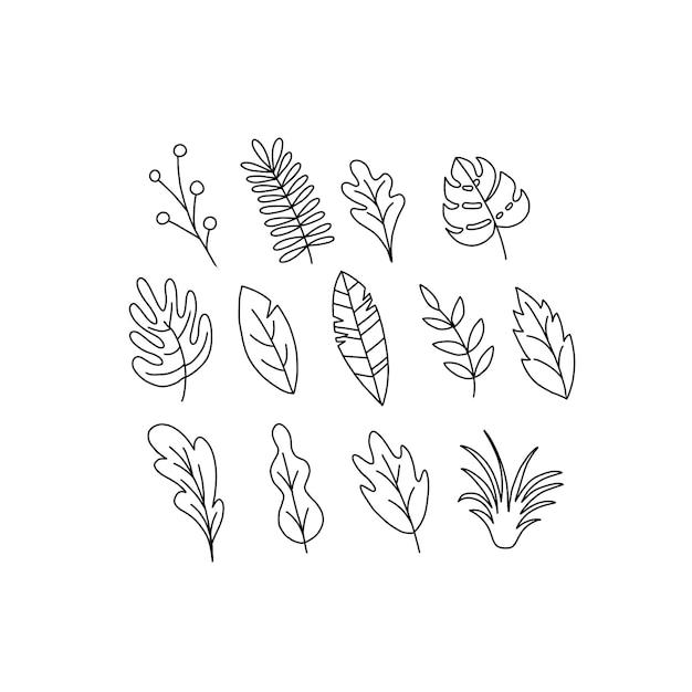 leaf handrawn doodle illustrations vector set