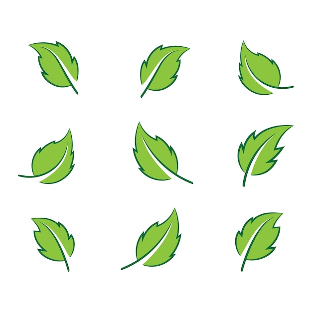 Leaf icon set ecology nature element green leafs environment and nature eco sign